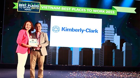 kimberly clark professional careers